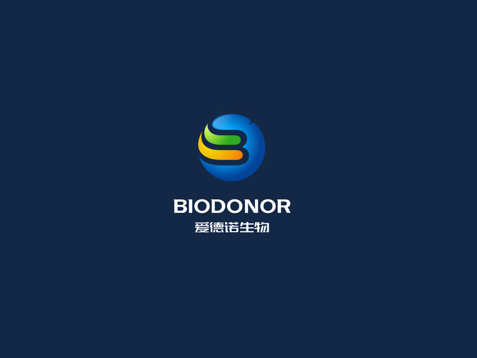 案例九